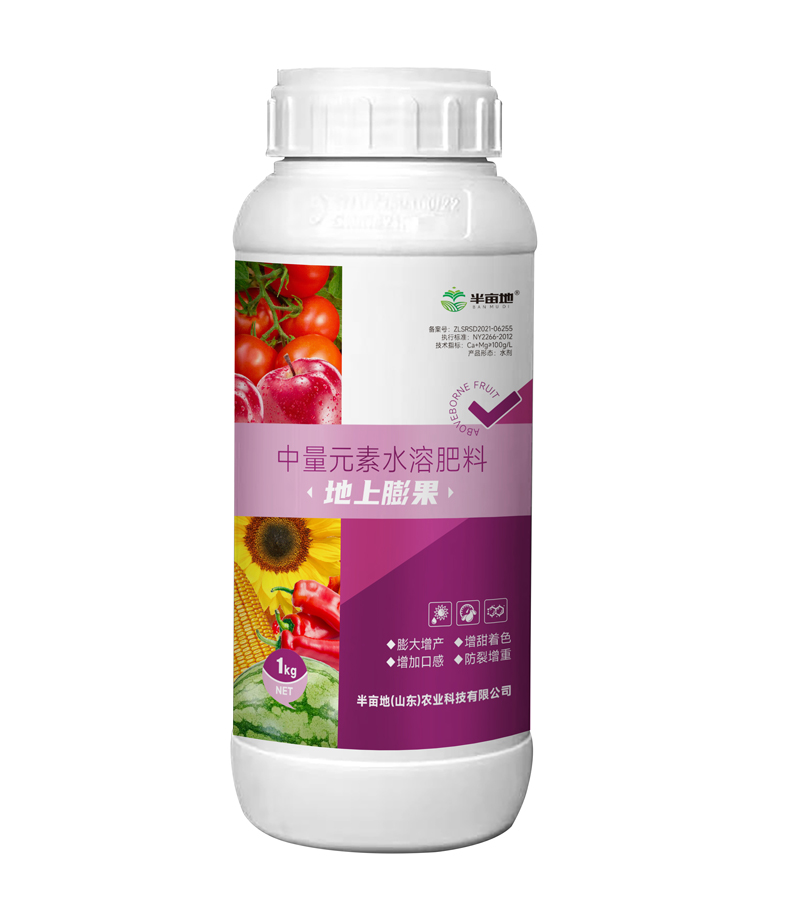 地(dì)上(shàng)膨果